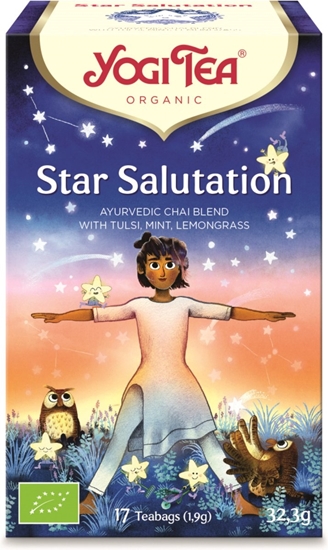 YOGI TEA BIO STAR SALUTATION 17ST